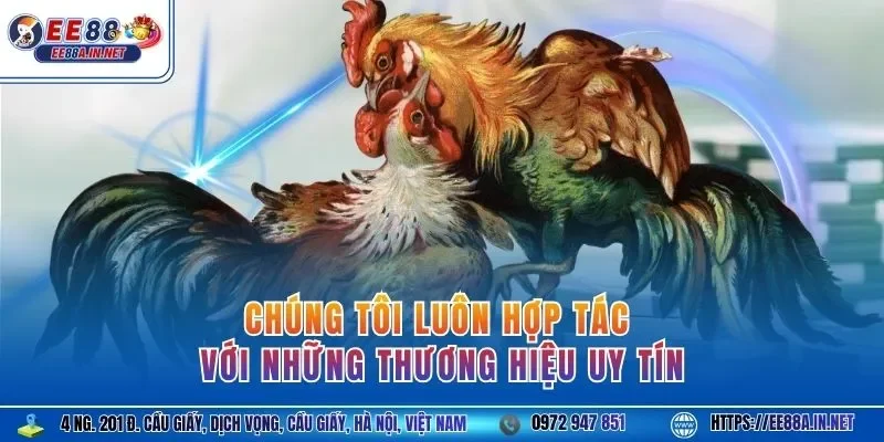 Chúng tôi luôn hợp tác với những thương hiệu uy tín