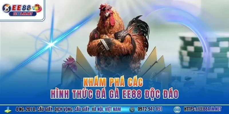 Khám phá các hình thức đá gà EE88 độc đáo